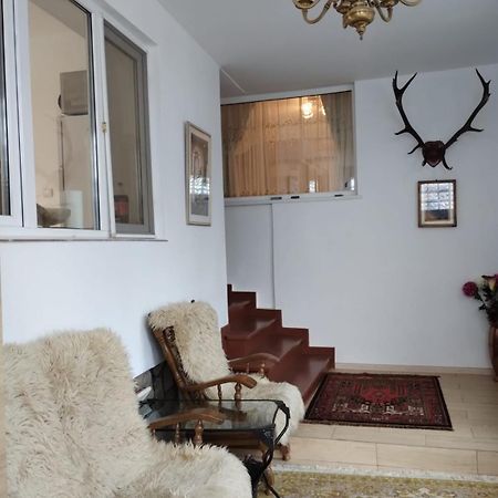 Bucegi View Villa บุชเตนี ภายนอก รูปภาพ